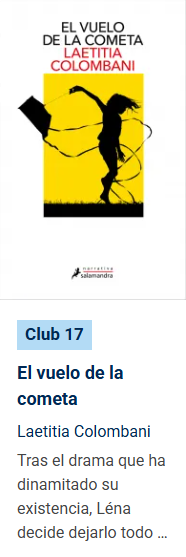 El vuelo de la cometa